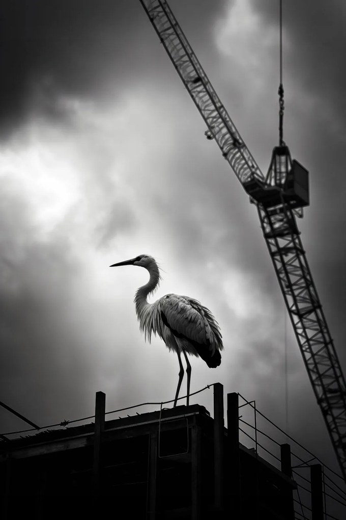 Poszter 30x45cm Magasan a horizont felett