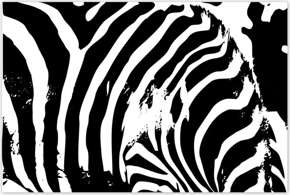 Poszterek 120x80 Zebra csíkos kisállat