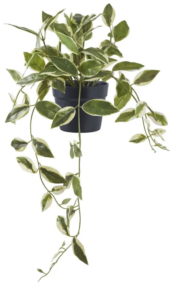Viaszvirág műnövény 33 cm