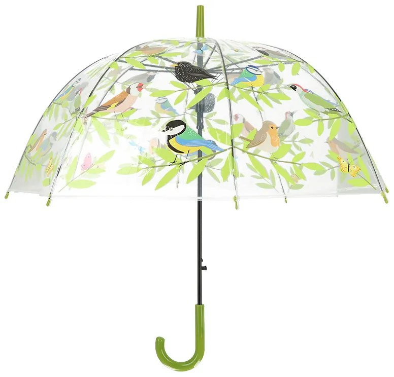 Átlátszó kismadaras esernyő