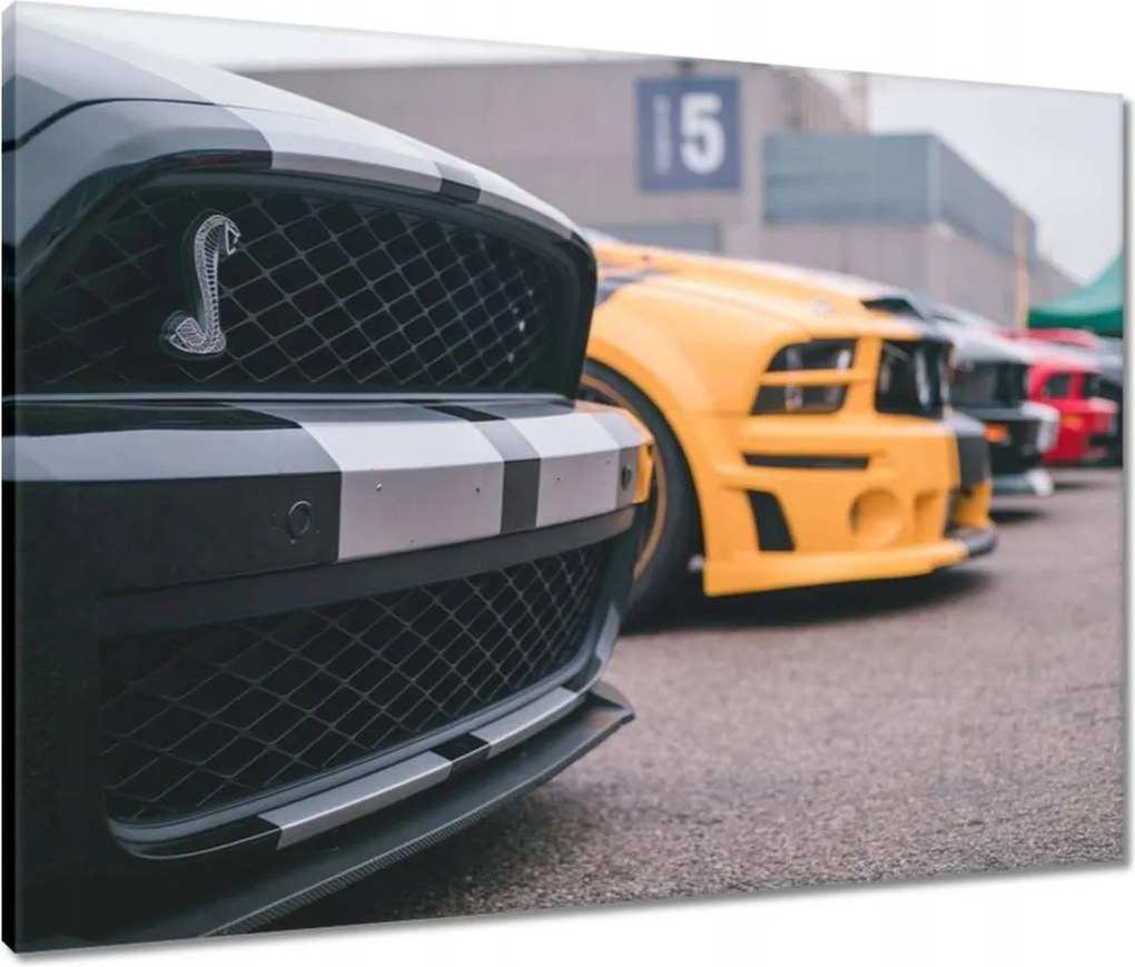 Vászonkép 80x60 Ford Mustang Autó