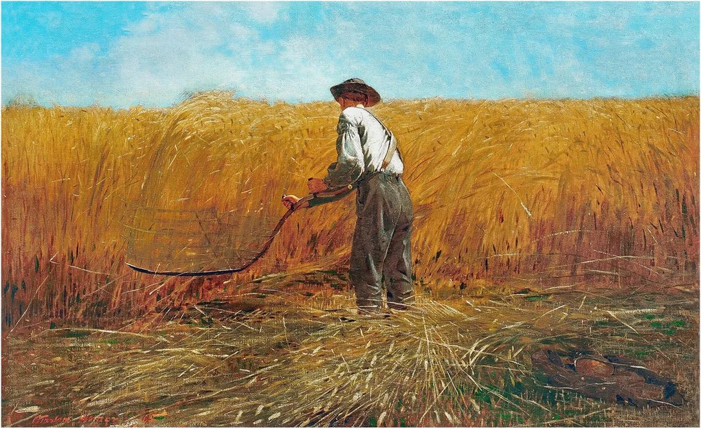 Flizelin fotótapéta Flizelin Design Aratás a napfényben 416x254