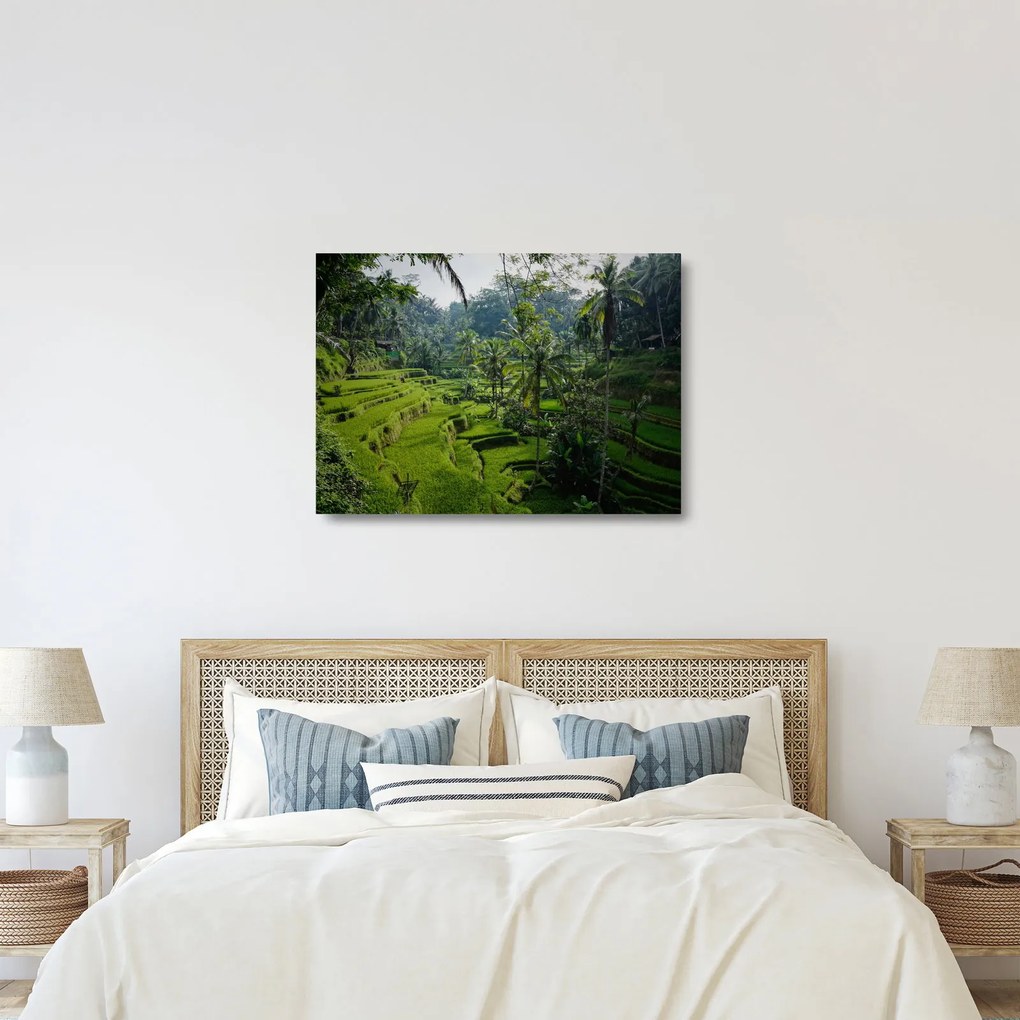 Kép a rizs teraszokról, Tegalalang, Bal (üvegen) (70x50 cm)