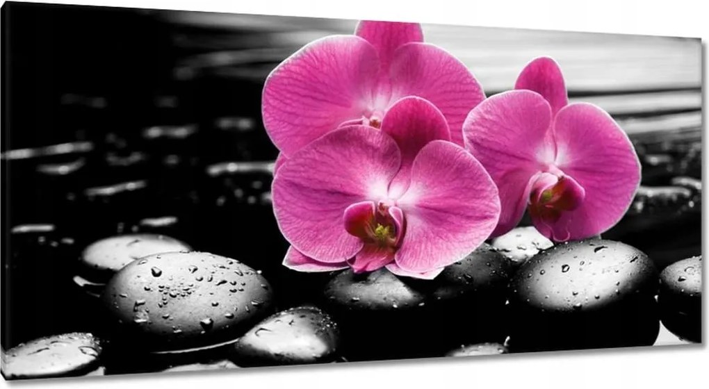 Vászonkép 115x55 Lila leander