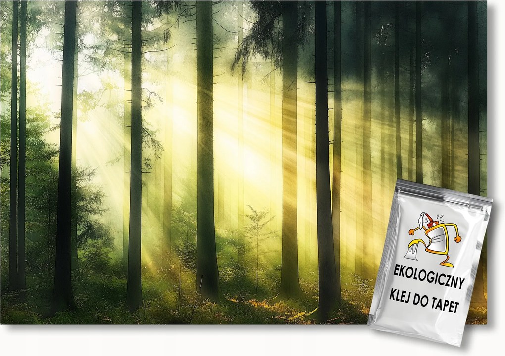 Fotótapéta Flizelina Tájkép Természet Erdő Fák Nap Reggel 350x250 ragasztó