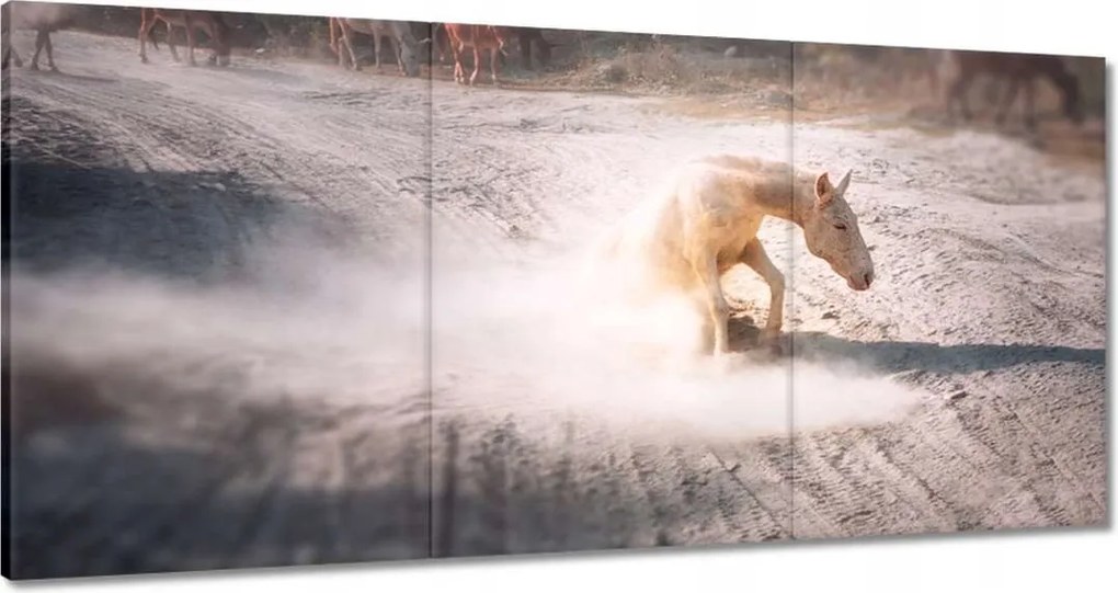 Vászonkép 180x90 Ló Lovak Lovaglás