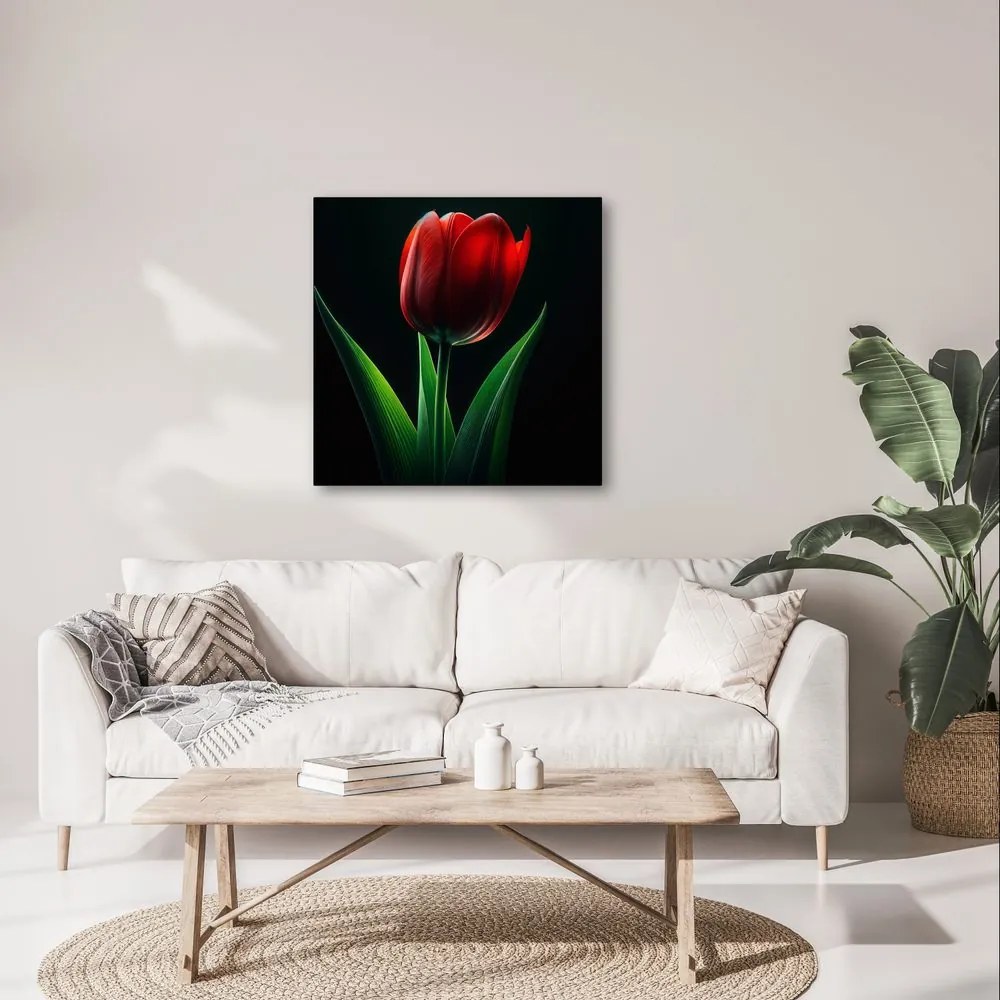 Kép tulipán virág éjjel