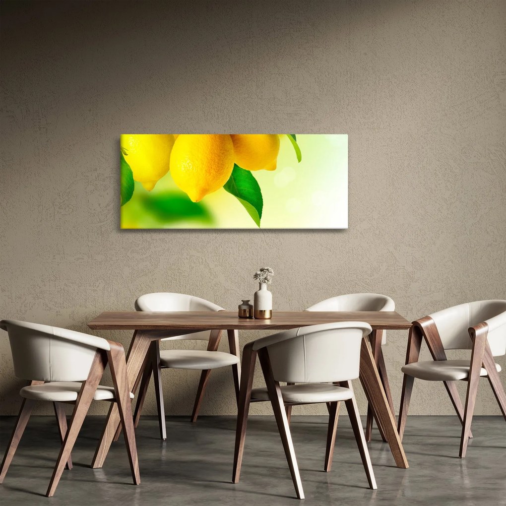 A citrom képe (120x50 cm)