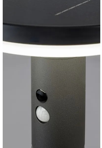 Rabalux 77018 - LED Napelemes lámpa érzékelővel ALASKA LED/10W/3,7V IP44