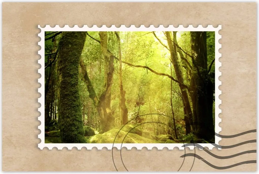 Poszterek 90x60 Varázslatos erdő Tájkép