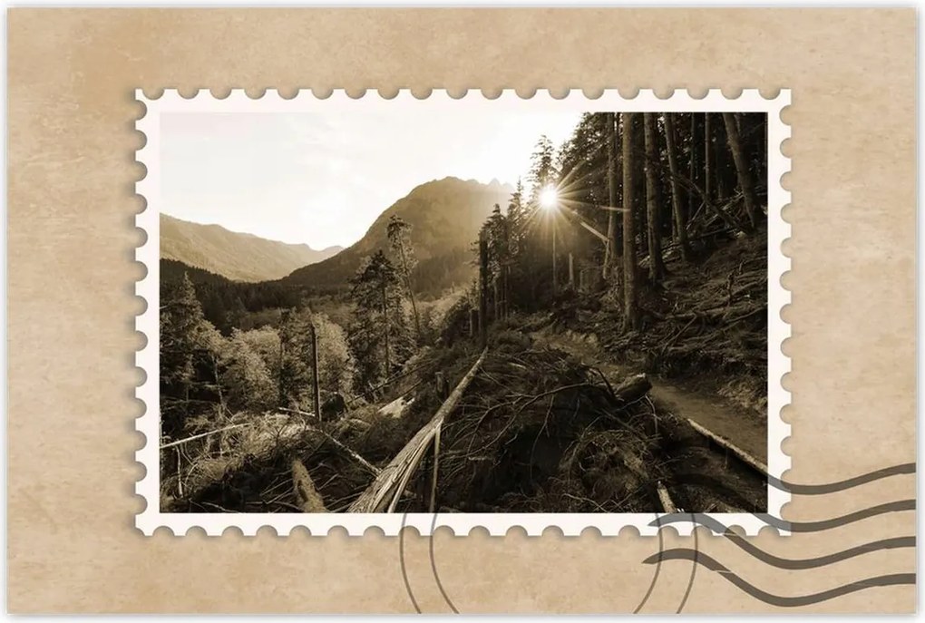 Poszterek 60x40 Szépia tájkép Szépia