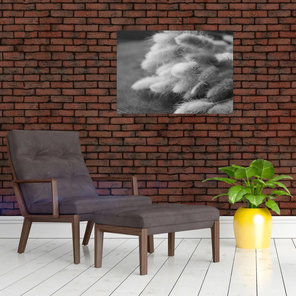 Üveg kép - nyúlfarknyi fű az asztalon (70x50 cm)