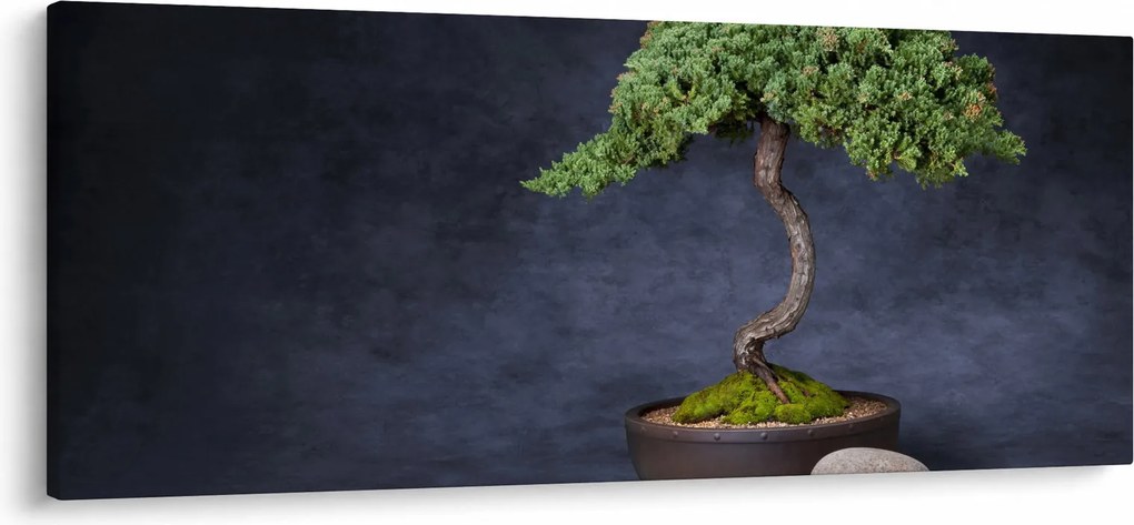 Kép - Bonsai (120x50 cm)