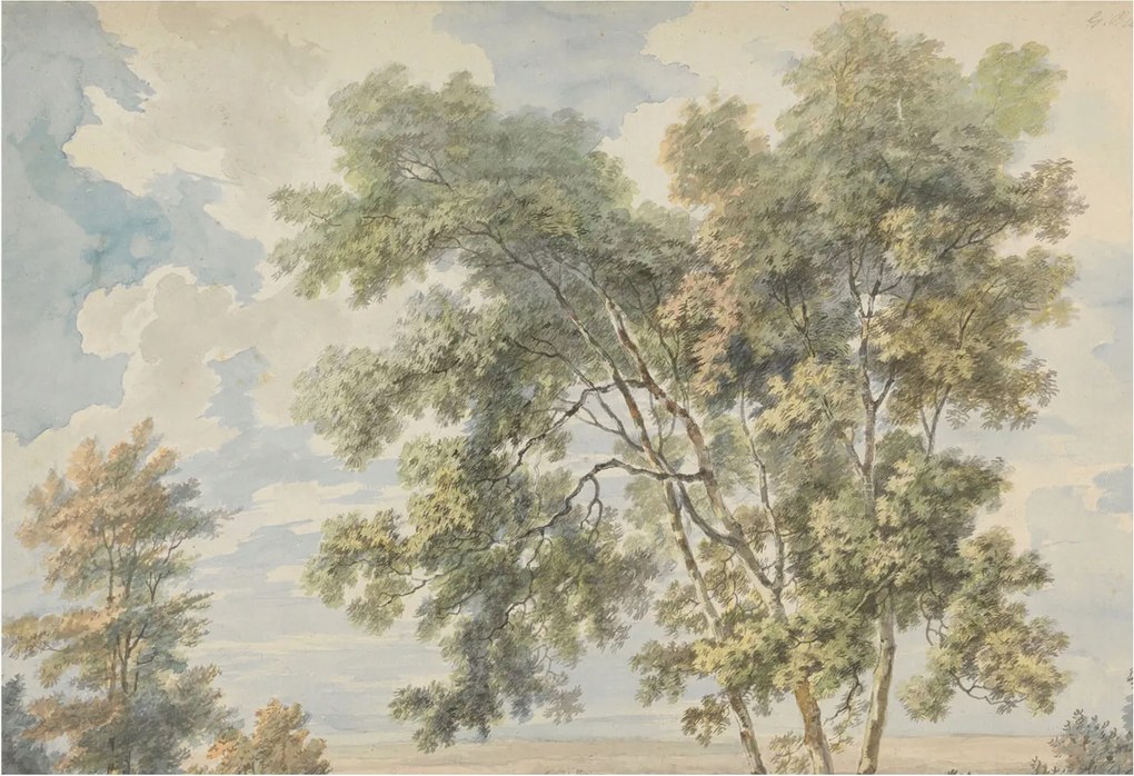 Dekoratív Fotótapéta Fali Falra Romantikus természet 152x104 Ragasztó