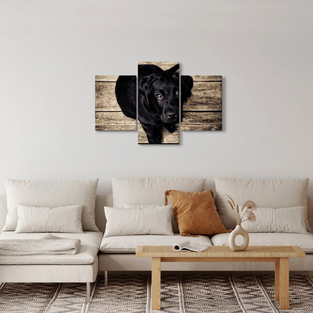 Egy fekete kiskutya képe (90x60 cm)
