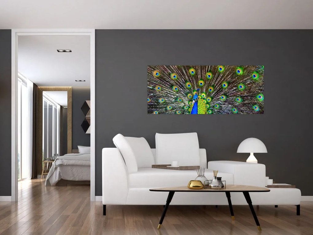 Kép - Páva (120x50 cm)