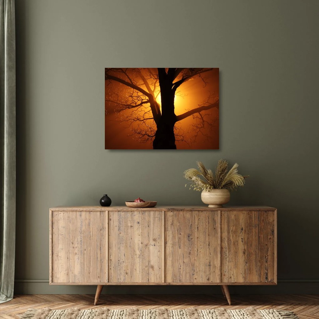 Kép egy fáról naplementekor (üvegen) (70x50 cm)