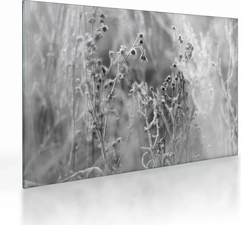 Üveg kép - Wild Meadow (70x50 cm)