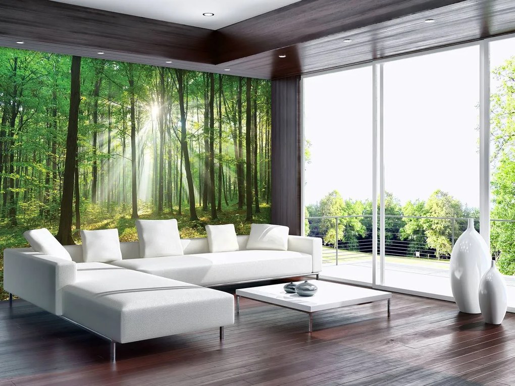 Fotótapéta - Erdő napfényben (152,5x104 cm)