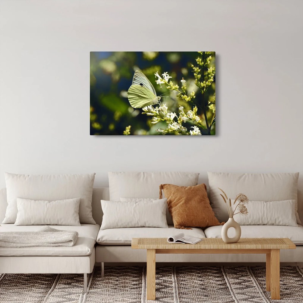 Pillangó képe (90x60 cm)