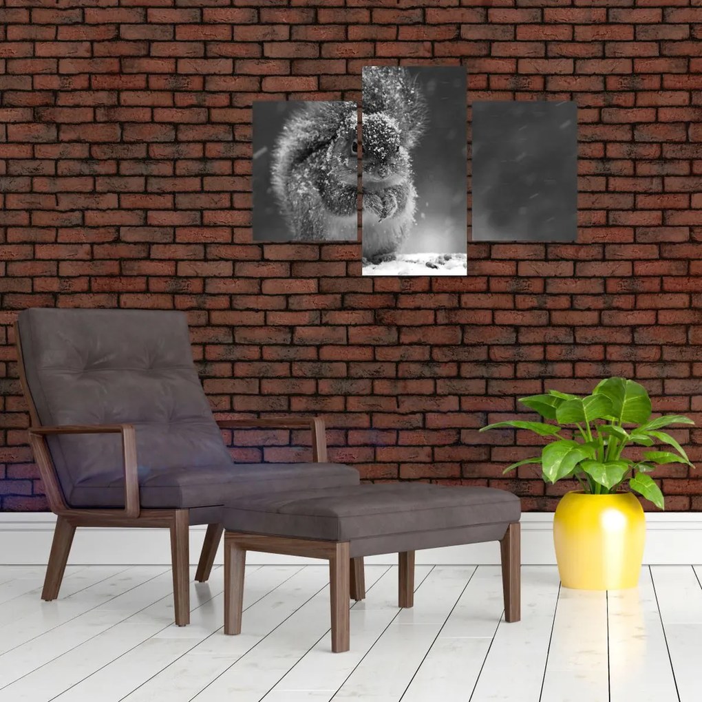 Kép - Mókus télen (90x60 cm)