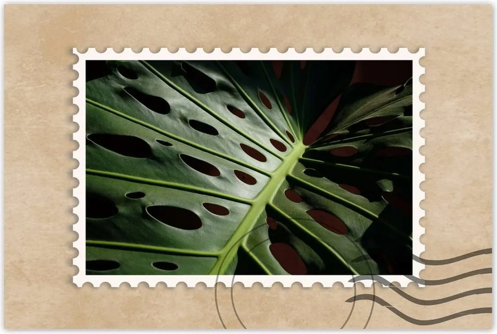 Poszterek 90x60 Mosnter levelek lyukas