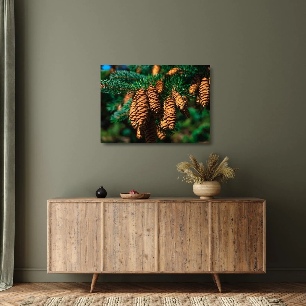 Fenyőtobozok képe (üvegen) (70x50 cm)