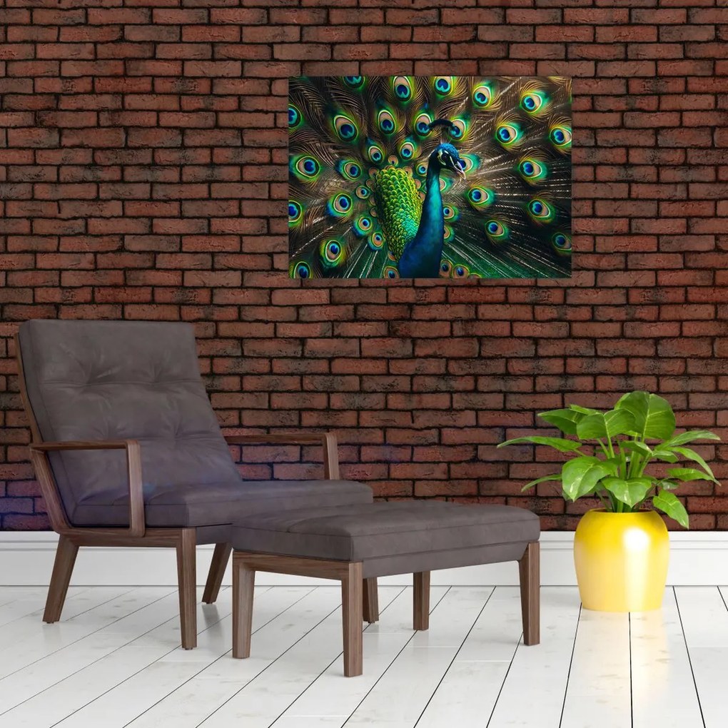 Üveg kép – Pávatoll (70x50 cm)