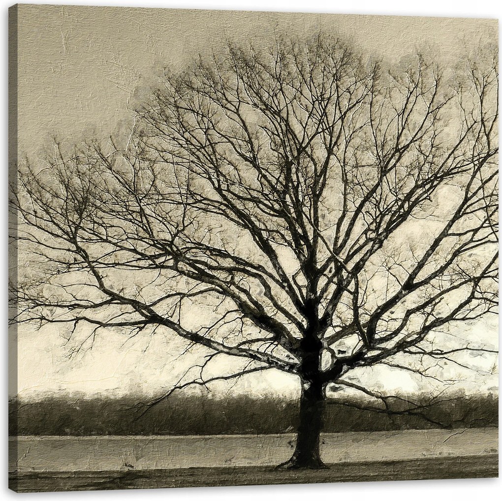 Vászonkép Sötét fekete fa Szomorúság 80X80 cm Ajándéknak is tökéletes