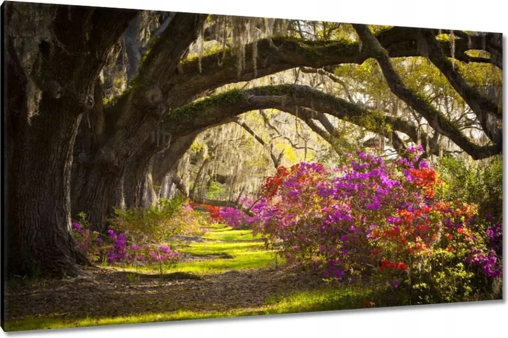 Vászonkép 120x70 Virágok a parkban