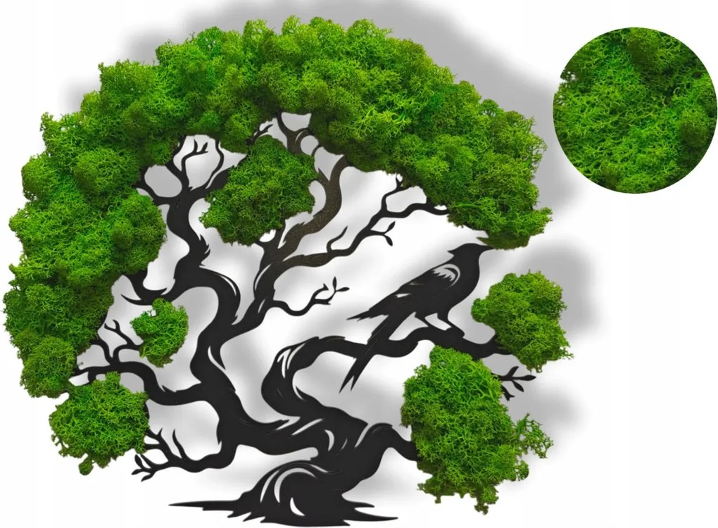 Kép Moha Fa Madár Ajándék Fal Neki Moha