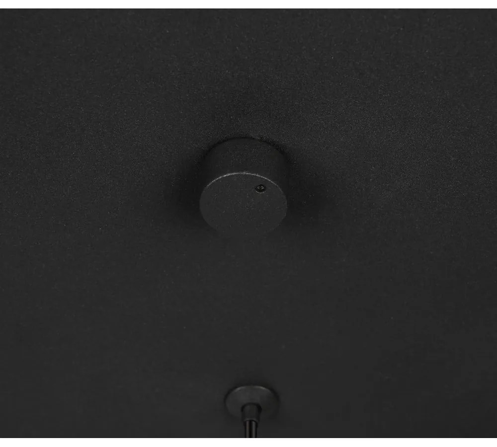 Fekete LED függőlámpa Cala – Trio Select