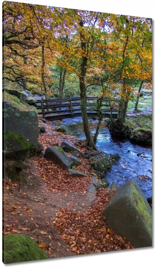 Vászonkép 80x120 Híd a parkban