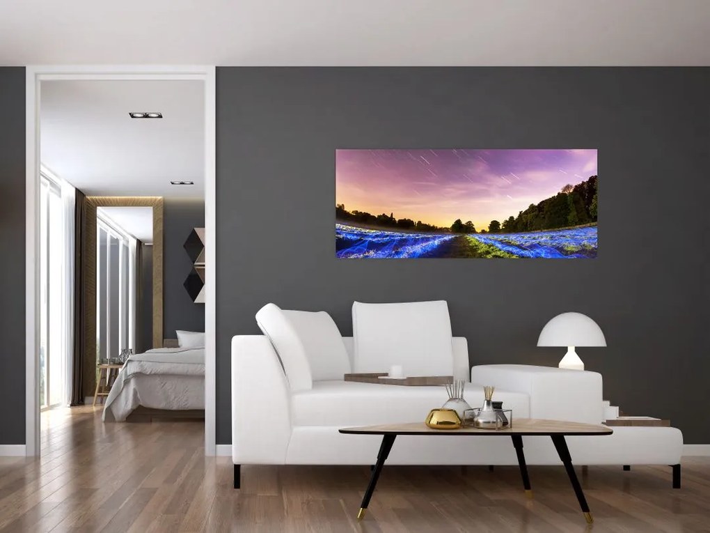 Színes mező képe (120x50 cm)