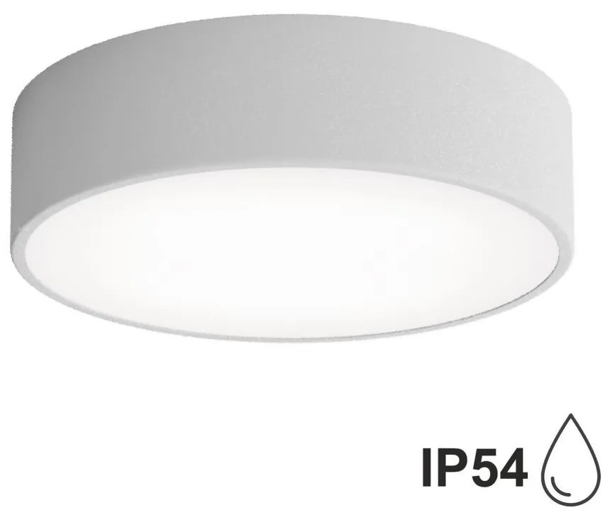 Kültéri mennyezeti lámpa érzékelővel CLEO 2xE27/24W/230V á. 30 cm szürke IP54