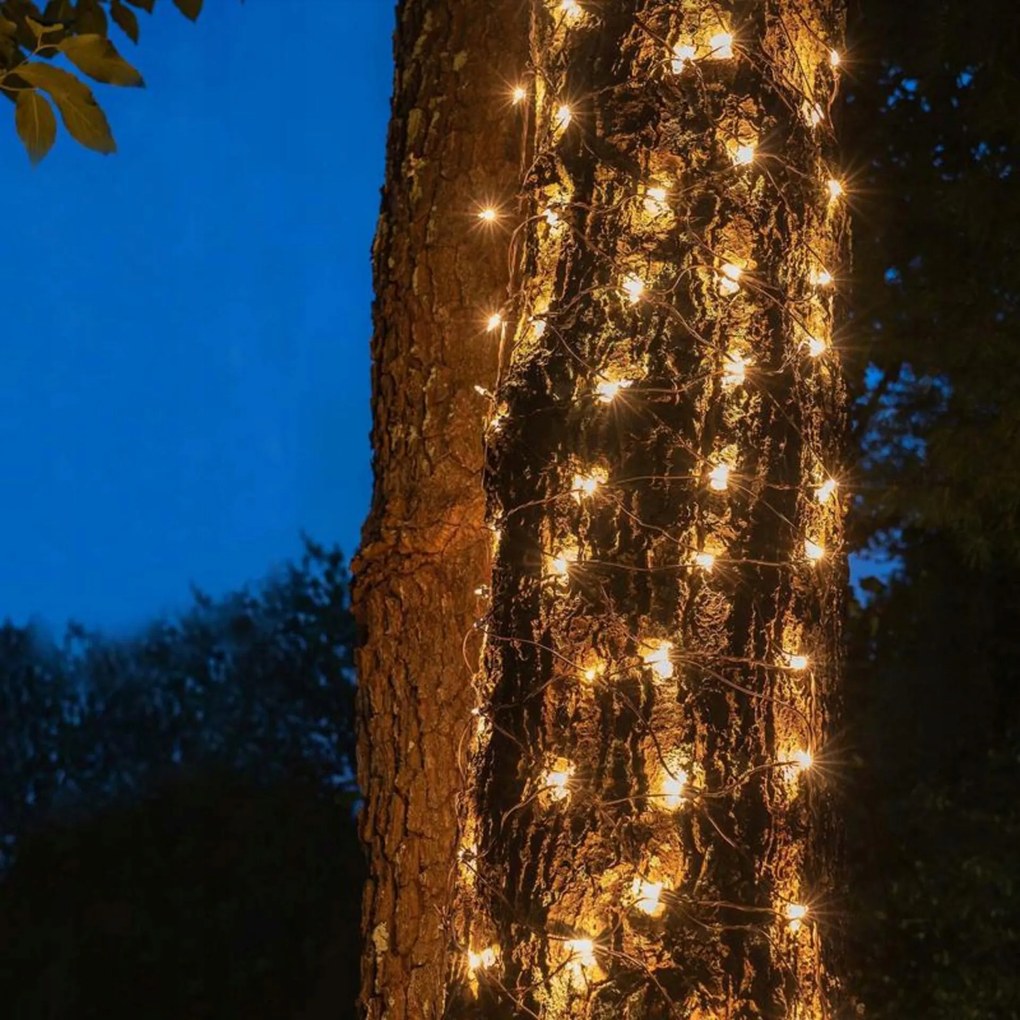 Aca Lighting karácsonyi Led hálózat világítás 50 Led meleg fehér tápegységgel Prolo