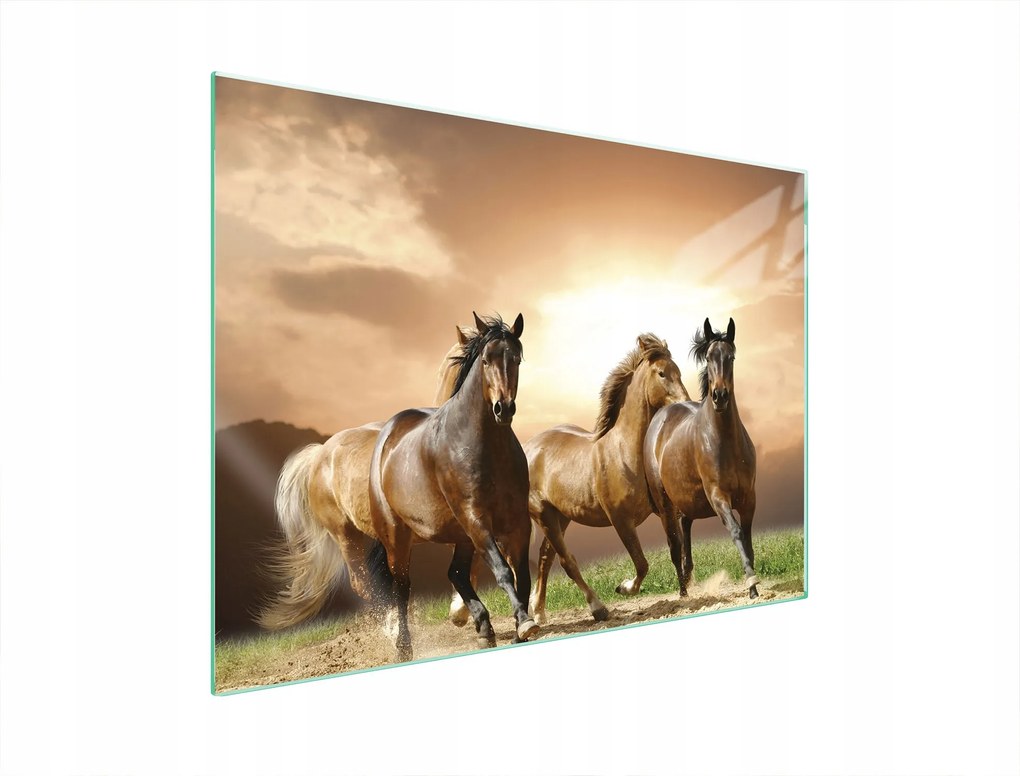 Üveg Tűzhelyvédő Főzőlap 70x52 Lovak Edzett Üveg