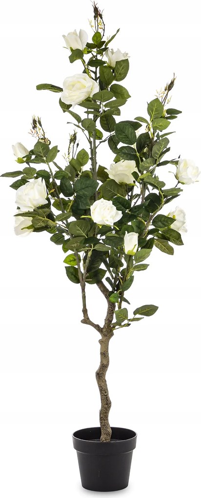 Fehér Magas Rózsa Növény Dekoratív Terasz Dekoráció Otthon Pavilon 128 cm