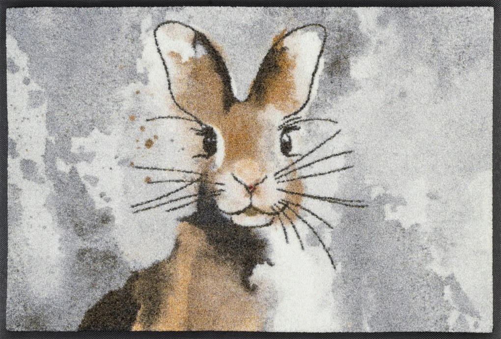 Lábtörlő bejárati szőnyeg|Wash+Dry|Hopps 50x75cm