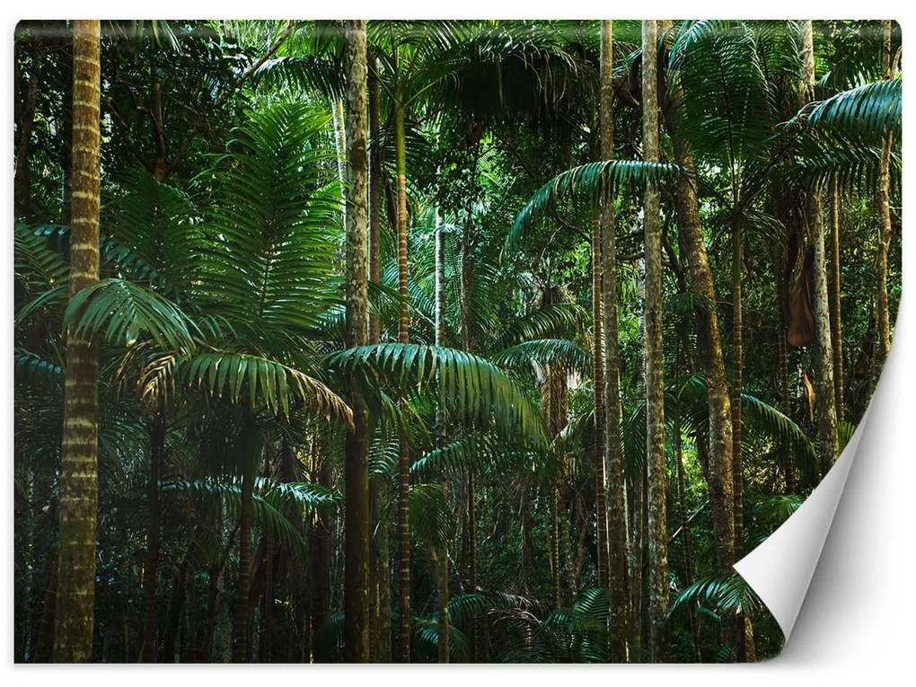 Gario Fotótapéta Magas pálmafák Anyag: Vlies, Méret: 350 x 245 cm
