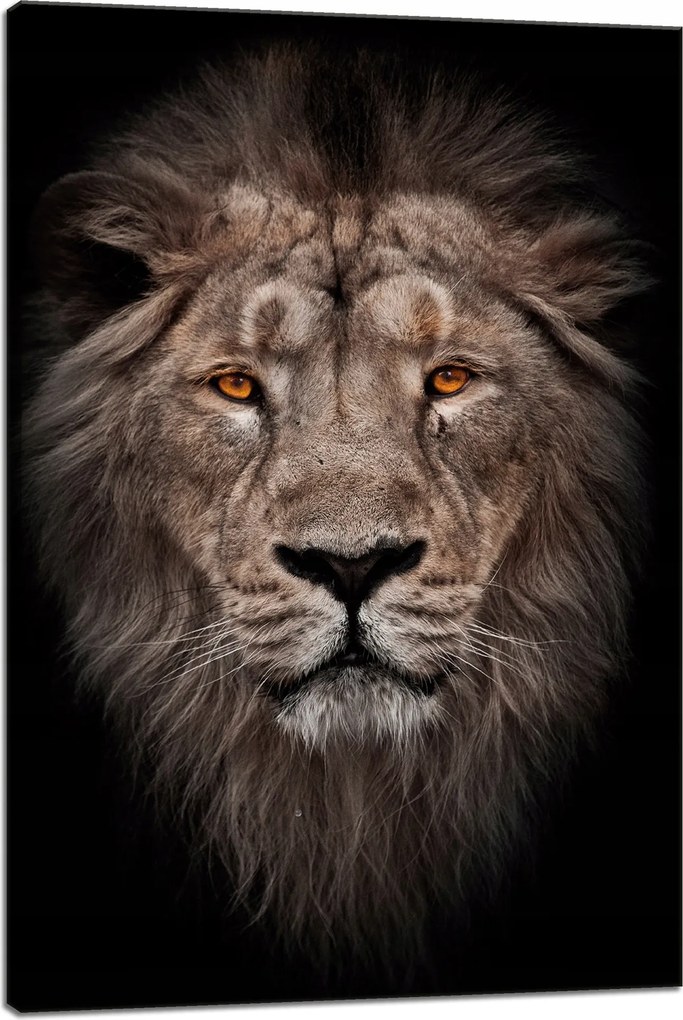 Vászonkép Oroszlán arca Vörös szemek Vadság 40x60 cm