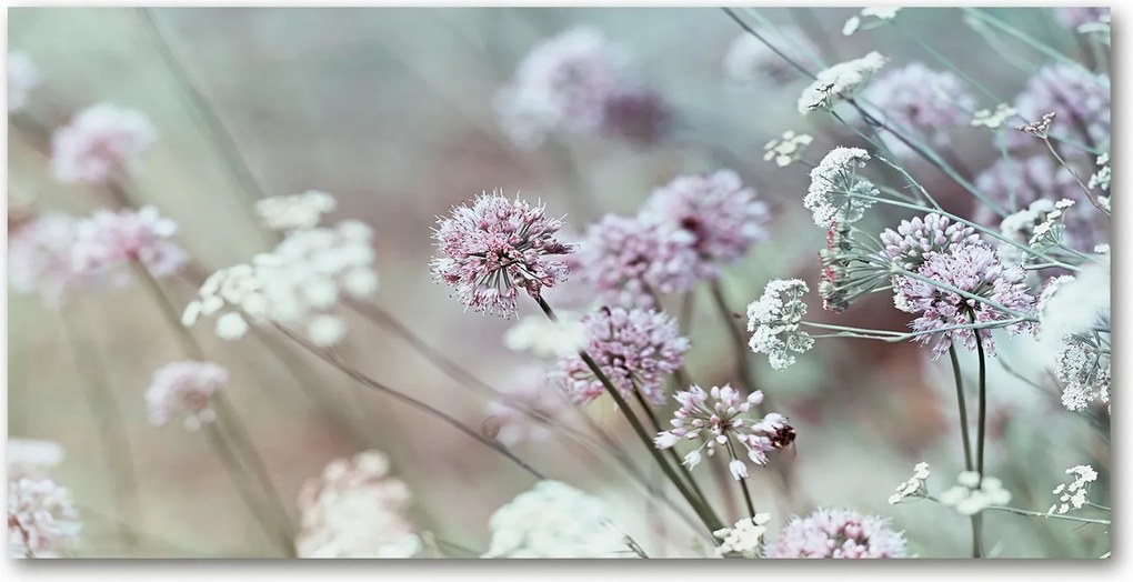 Konyhai panel Vad virágok 120x60 cm Ragasztó