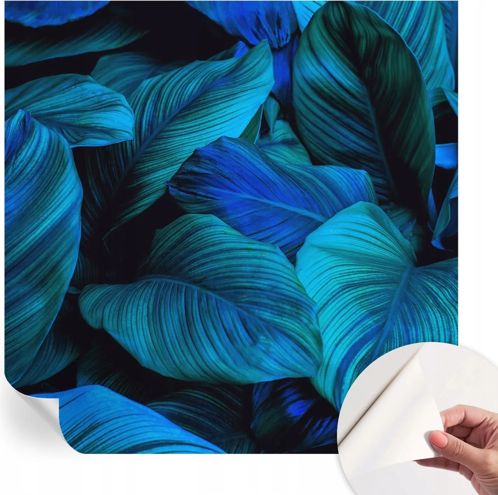 Dekoratív Öntapadós Tapéta Divatos Minták Kék levelek 250x250 cm