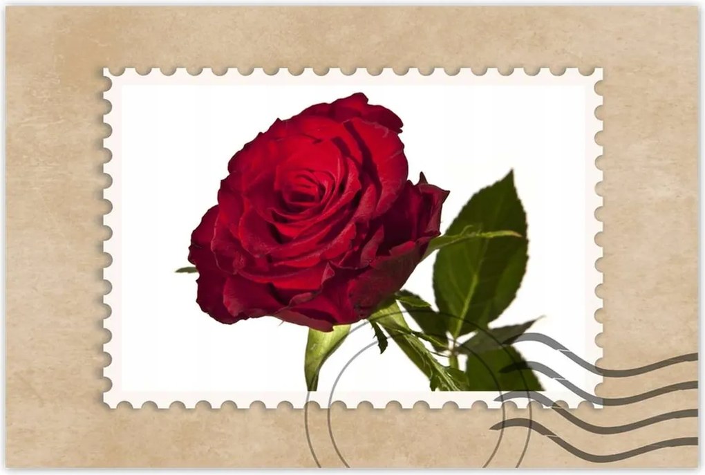 Poszterek 90x60 Vörös rózsa