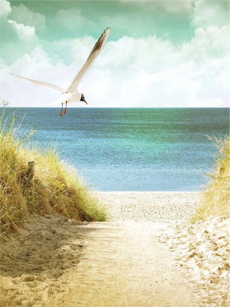 Flizelin fotótapéta Tengerpart Dűnék Pihenés 206x275 +ragasztó