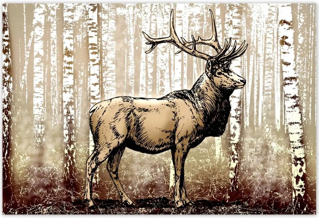 Poszterek 200x135 Szarvas a nyírfaerdőben