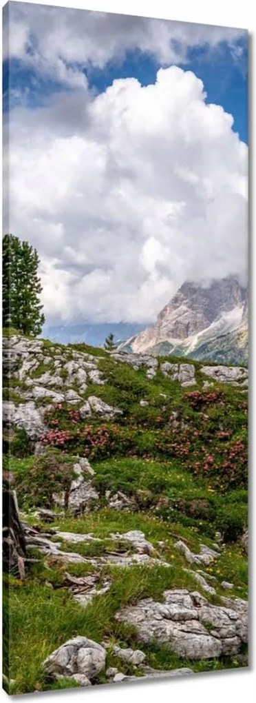 Vászonkép 40x100 Hegyi kilátás Tájkép