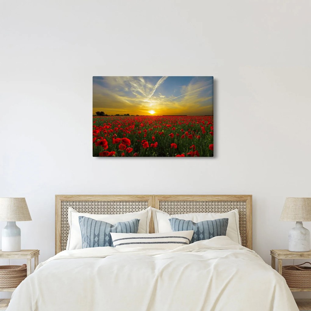 Egy kép a pipacs mezőről (90x60 cm)