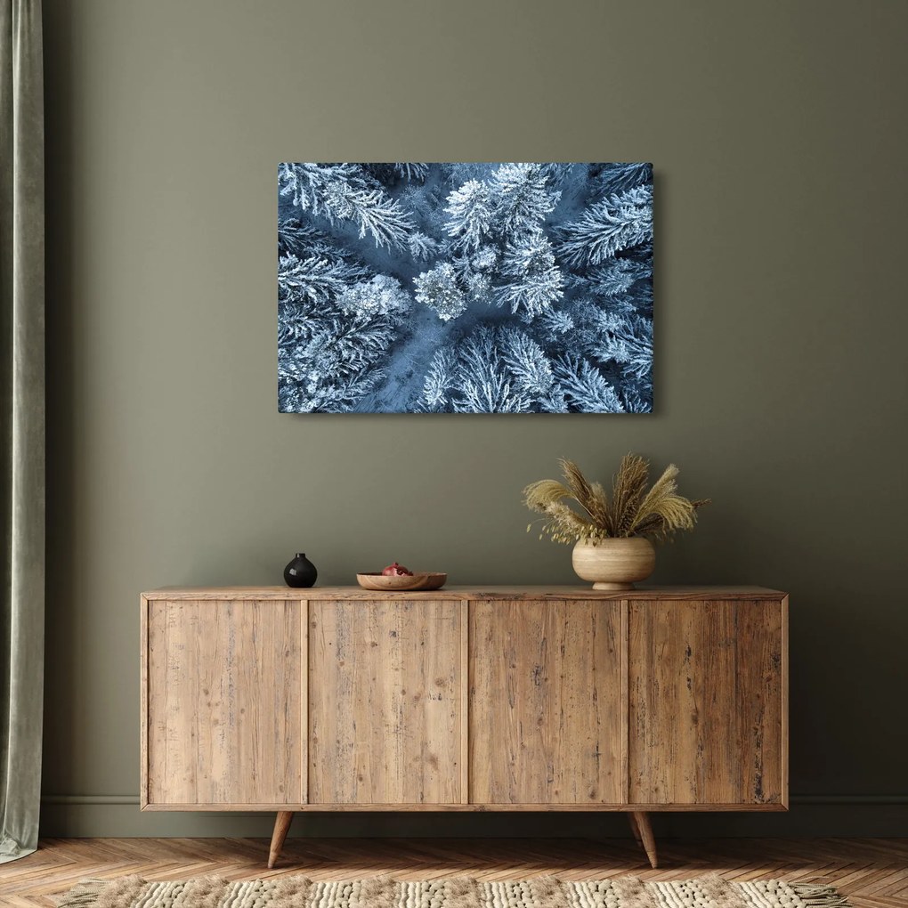 Kép - Havas erdő (90x60 cm)