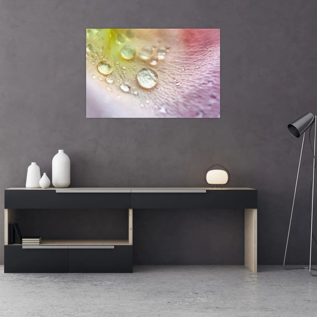 Kép - Harmatcseppek (90x60 cm)